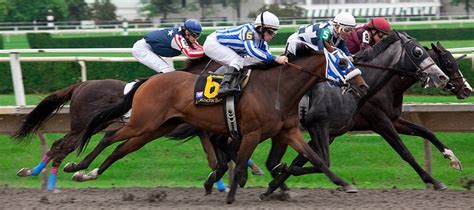 horse racing odds for dummies.